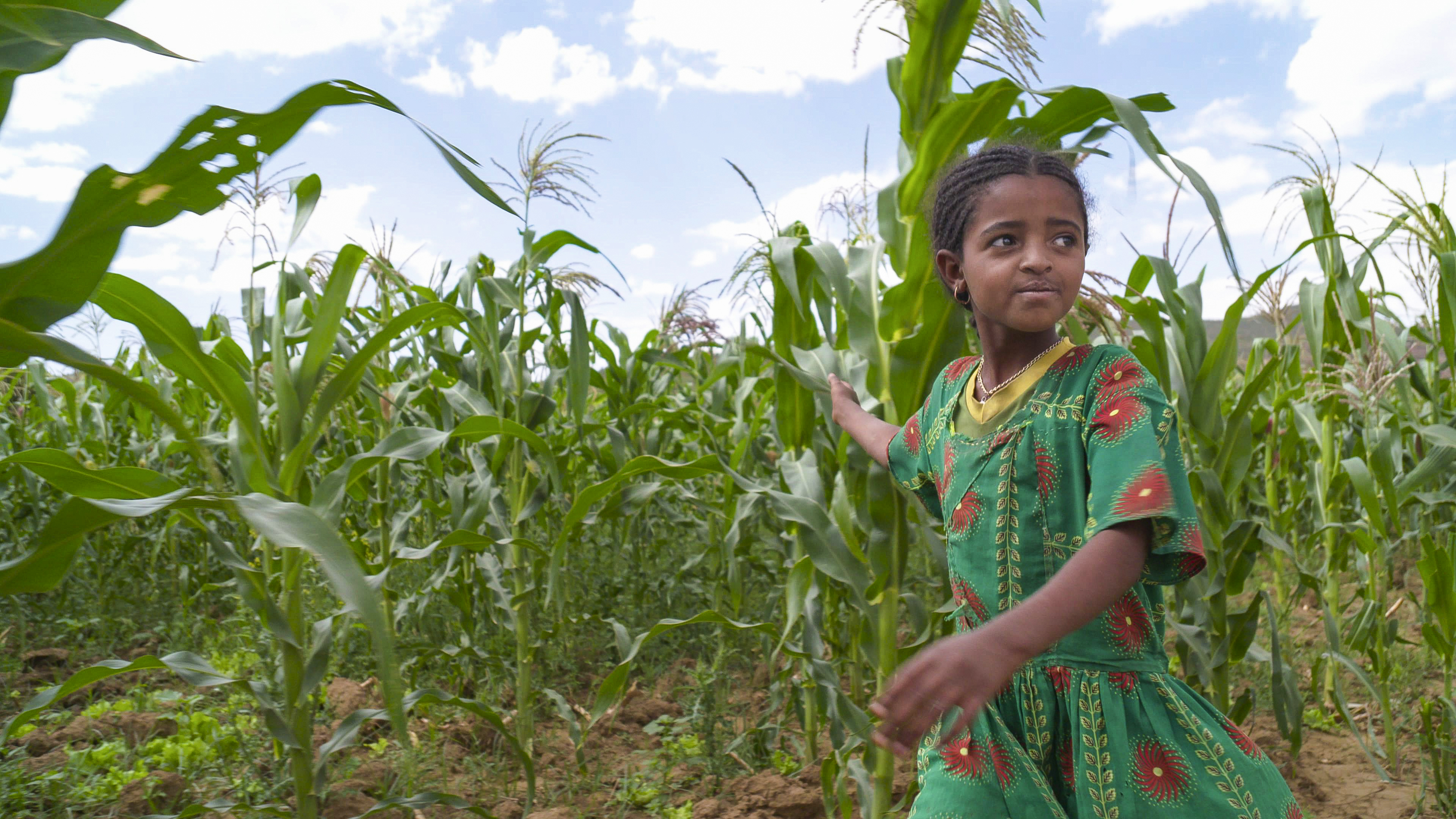 Learn about how smart development aid is gaining traction around the globe