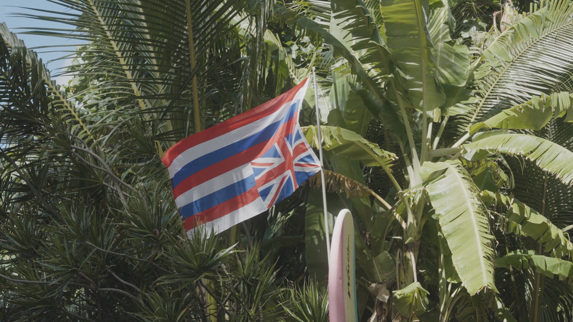 Check for Price of Paradise airing on a public television station near you!