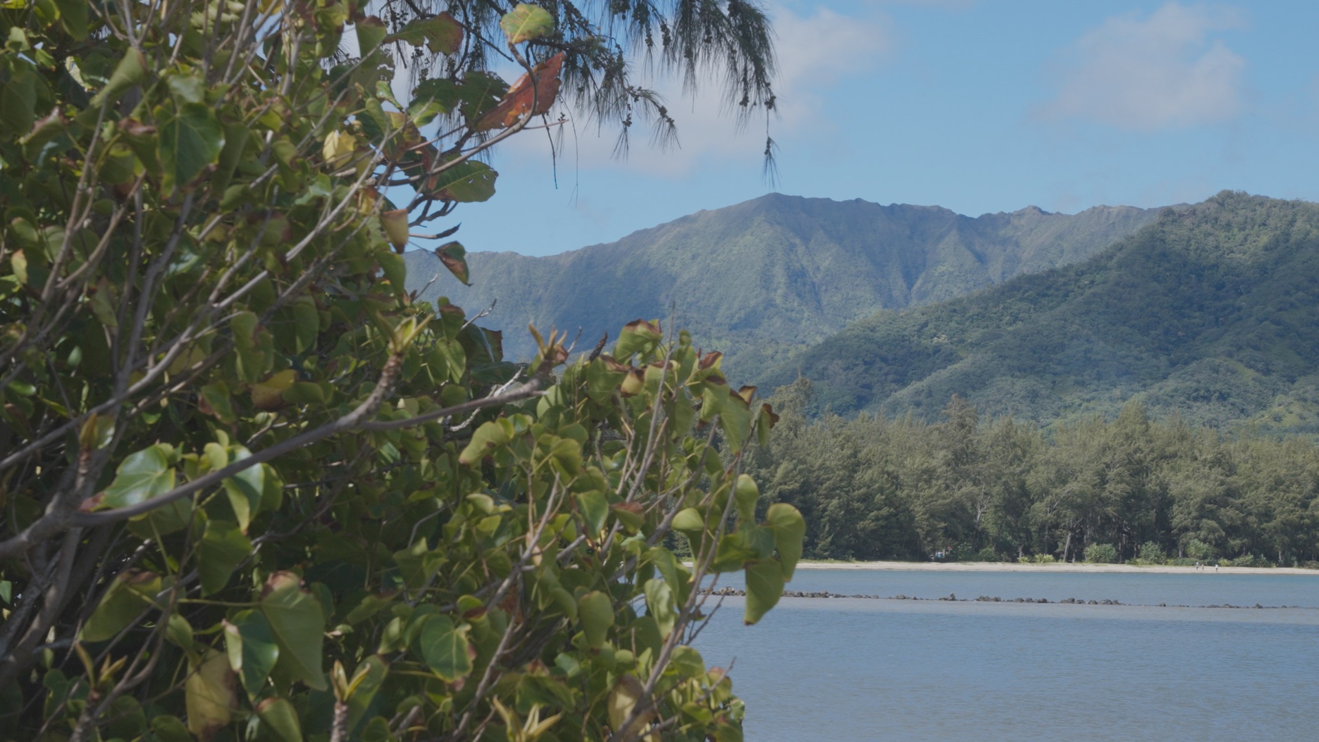 The program will also be available for streaming online.