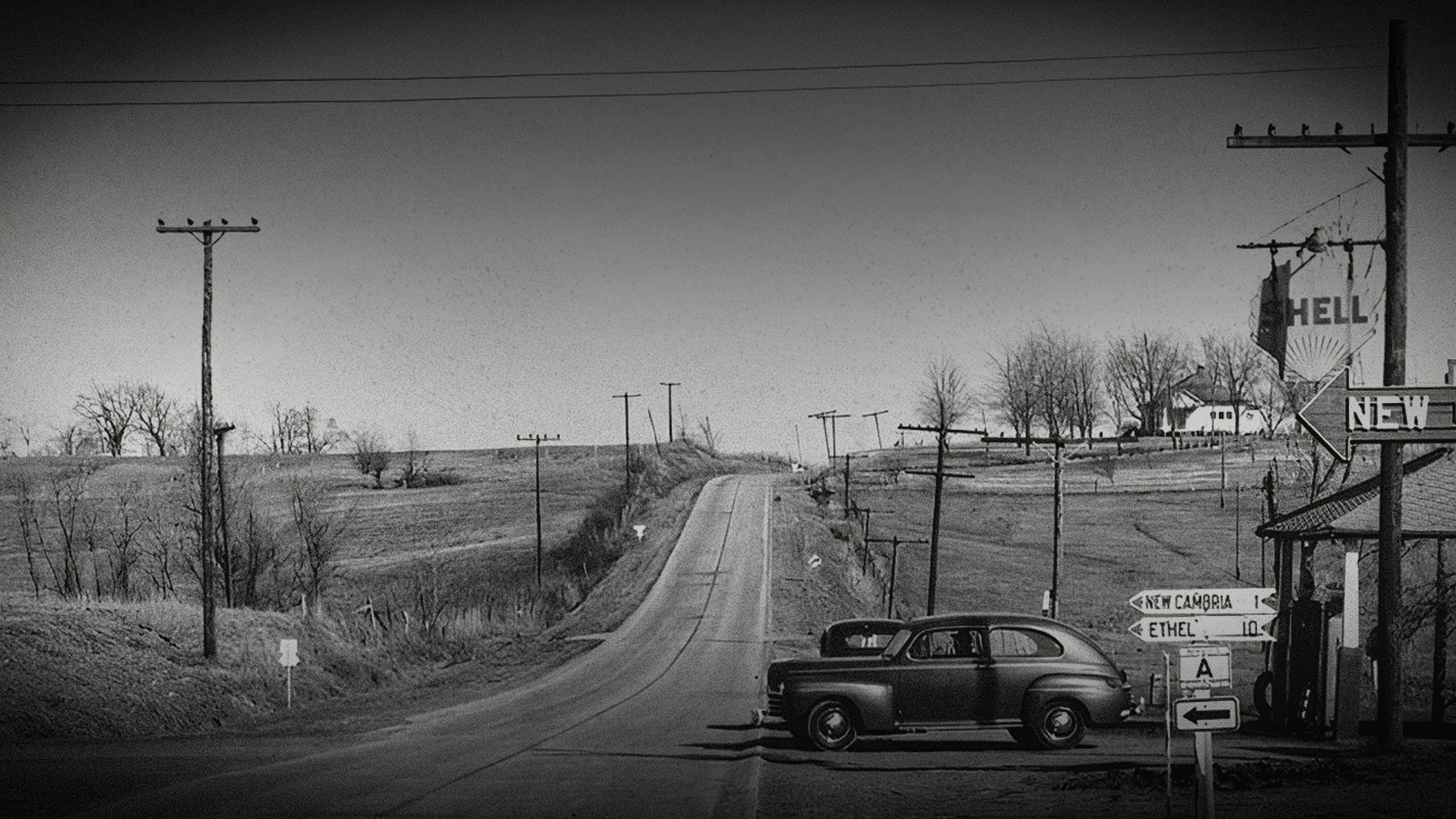 Download a zipped file of promotional materials linked in the Additional Assets section below.